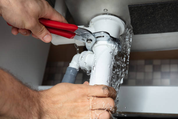 Best Mold removal after water damage  in Clarks Green, PA