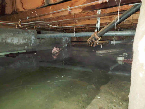 Best Water damage repair service  in Clarks Green, PA