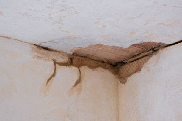 Best Water damage restoration cost  in Clarks Green, PA