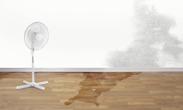 Best 24-hour water damage restoration  in Clarks Green, PA