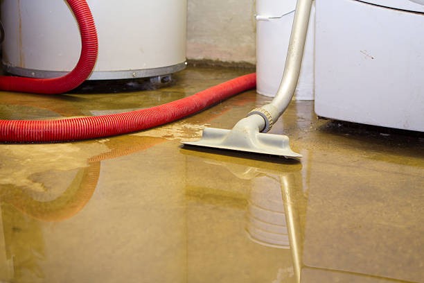 Best Flood restoration services  in Clarks Green, PA