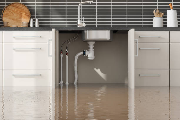 Best Commercial water damage restoration  in Clarks Green, PA