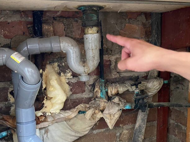 Best Water damage contractors near me  in Clarks Green, PA