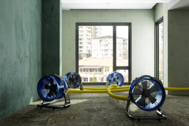 Best Water damage cleanup near me  in Clarks Green, PA