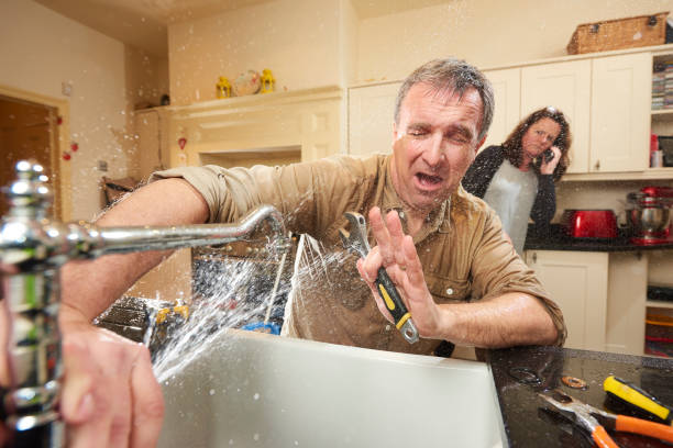 Best Basement water damage restoration  in Clarks Green, PA
